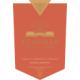 Flechas De Los Andes - Gran Cabernet Franc label