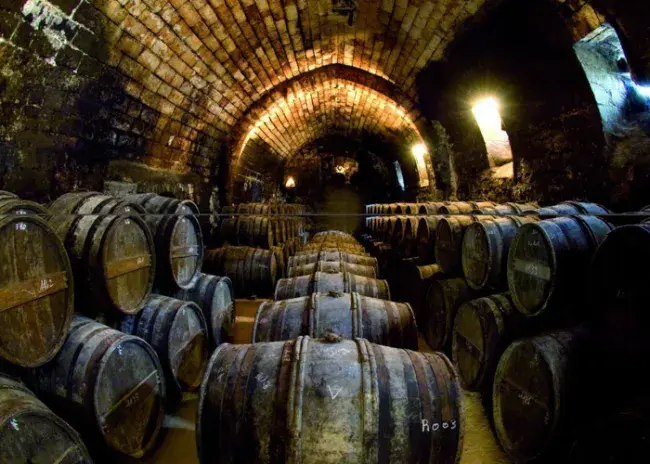 Cognac Tesseron | Monsieur Touton Selection