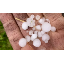 Hail Strikes Bordeaux's Right Bank