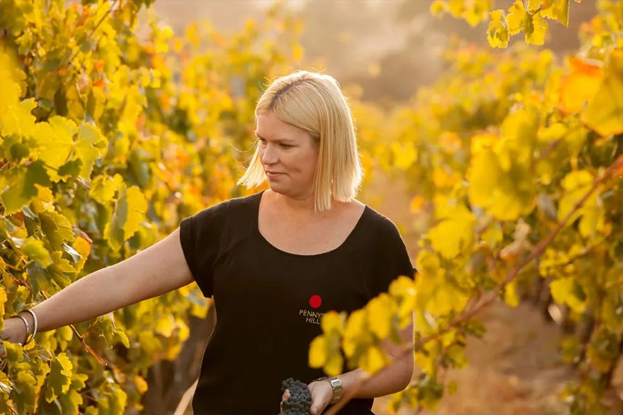 Winemaker the Chook